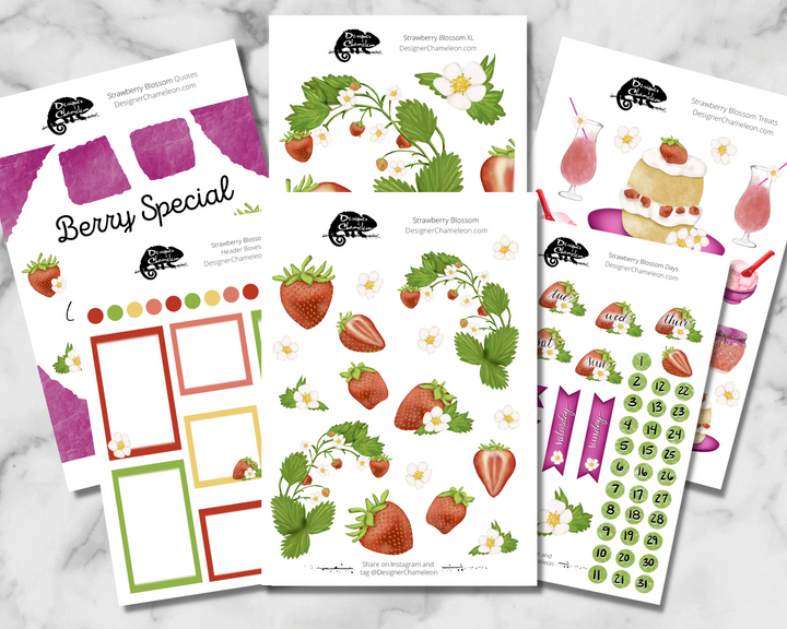 Strawberry Blossom Sticker Collection