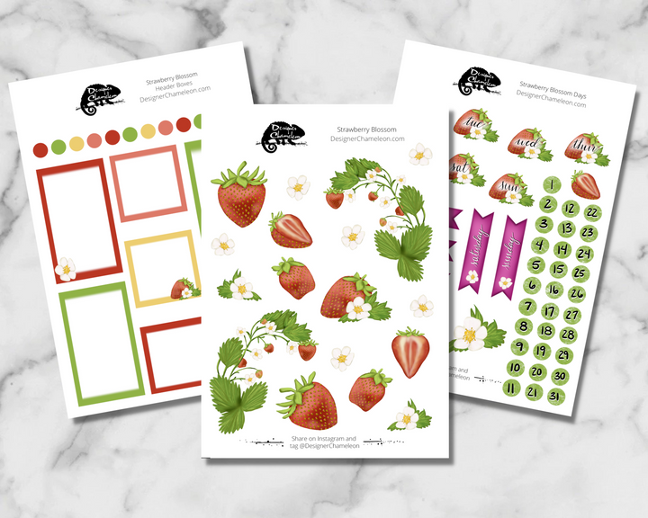 Strawberry Blossom Sticker Collection