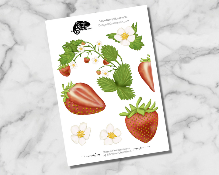 Strawberry Blossom Sticker Collection