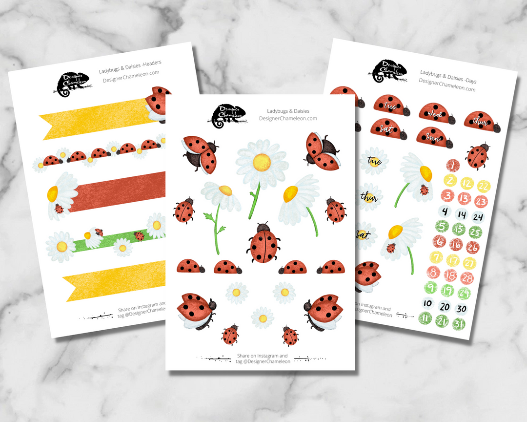 Ladybugs & Daisies Theme Sticker Collection