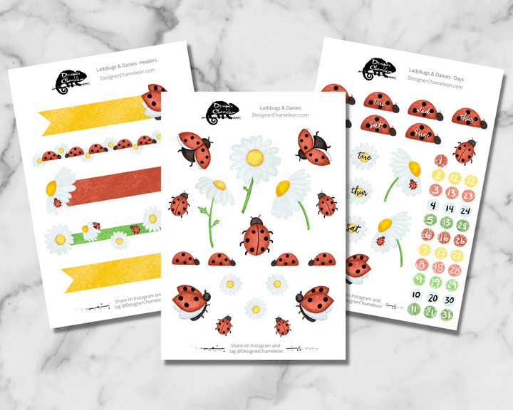 Ladybugs & Daisies Theme Sticker Collection