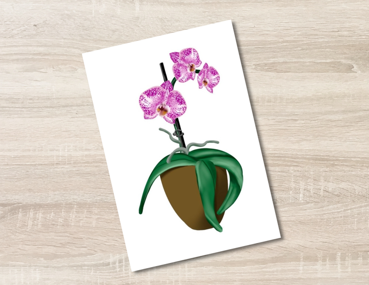 Potted Pink Orchid Art Print