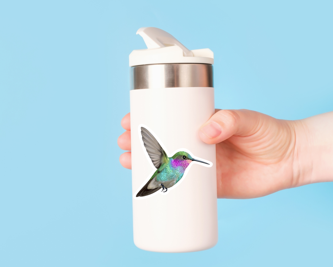Hummingbird Waterproof Vinyl 3" Sticker