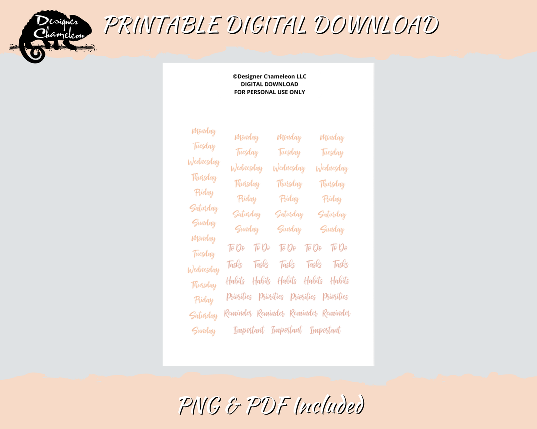 DIGITAL Champagne Shimmer Essentials