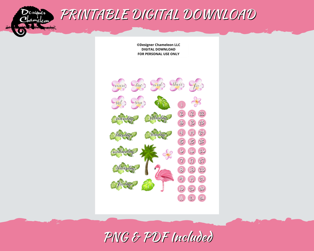 DIGITAL Pink Flamingo Collection