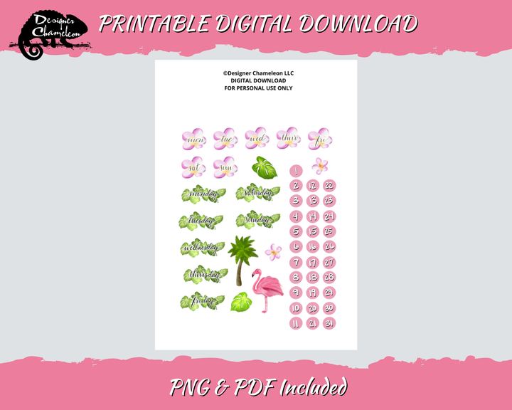 DIGITAL Pink Flamingo Collection