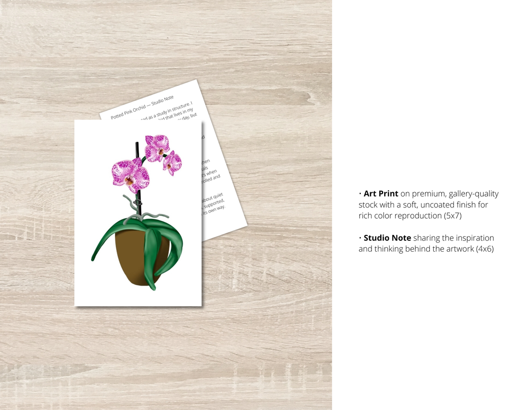 Potted Pink Orchid Art Print