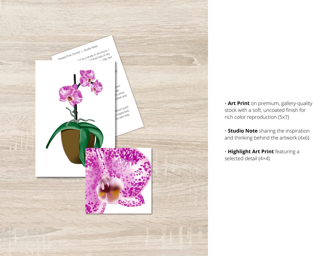 Potted Pink Orchid Art Print