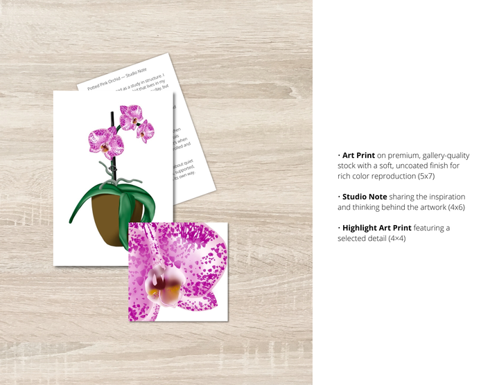 Potted Pink Orchid Art Print