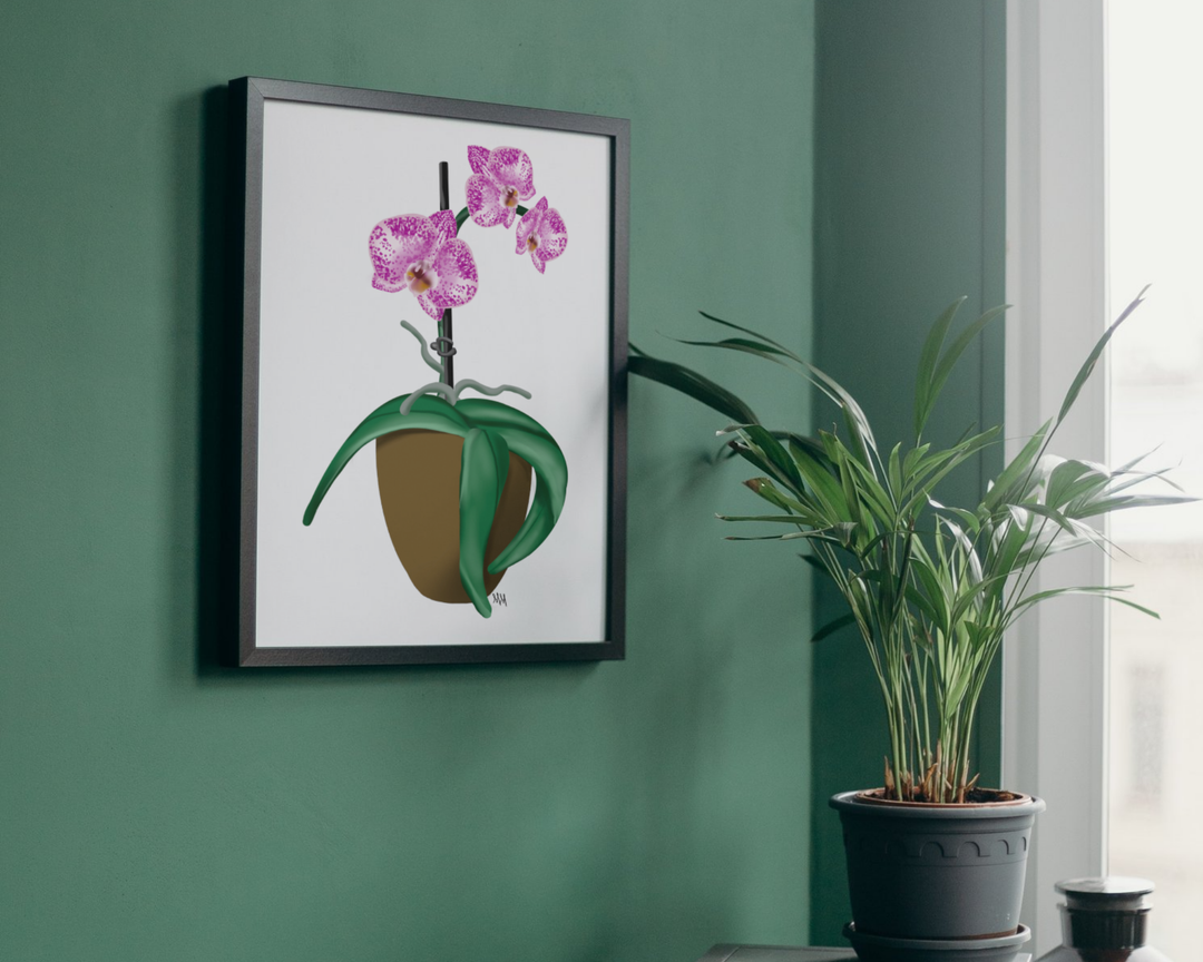 Potted Pink Orchid Art Print