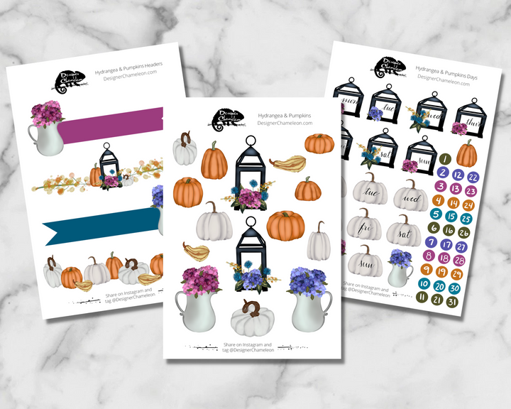 Hydrangea & Pumpkin Theme Sticker Kit