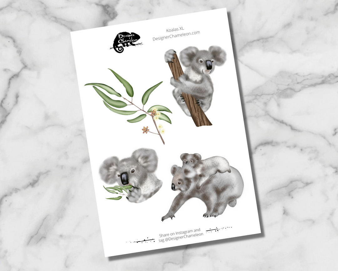 Koala Sticker Collection
