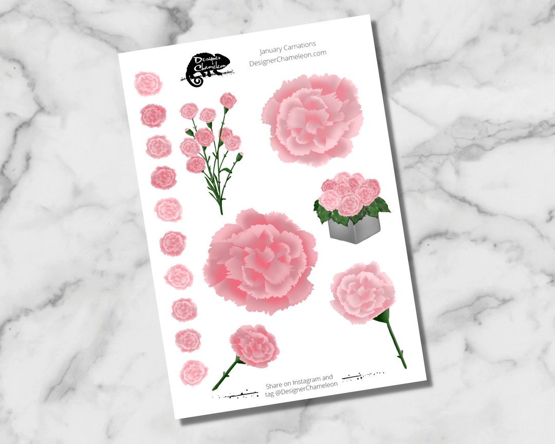 January Carnation Accent Stickers