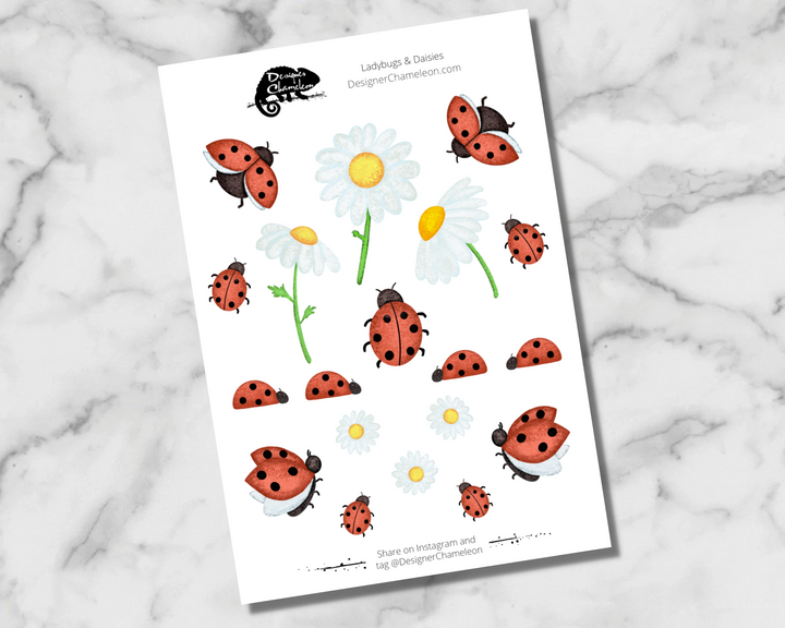Ladybugs & Daisies Theme Sticker Collection